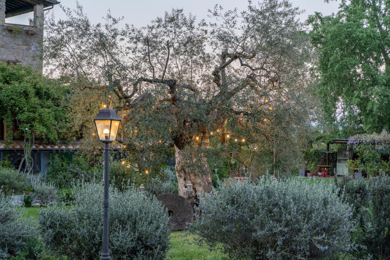 L'Olivo Country Resort & Spa Bassano in Teverina Kültér fotó